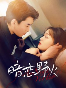 暗恋野火(全集)