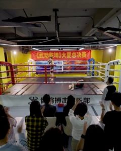 武驰人生2之飓风营救(全集)