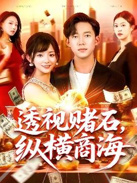 透视赌石纵横商海(全集)