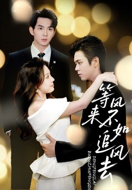 等风来不如追风去(全集)