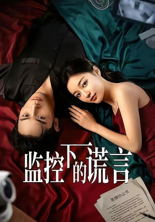 监控下的谎言(全集)